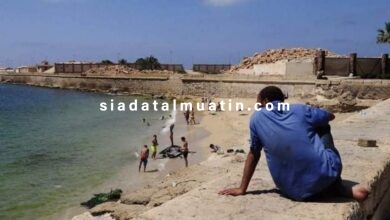 صورة مصرع 11 شخصا غرقا في شاطئ النخيل بالإسكندرية